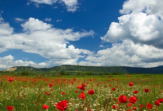 Μάντρα Ημέρας
