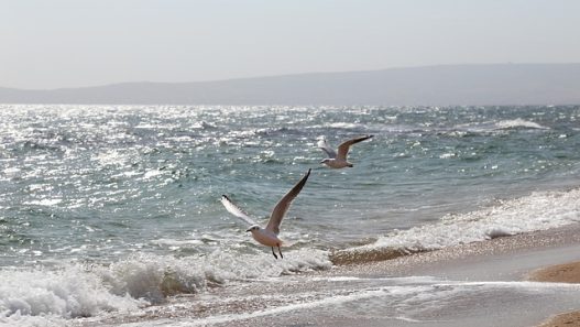 Μάντρα Ημέρας