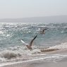 Μάντρα Ημέρας